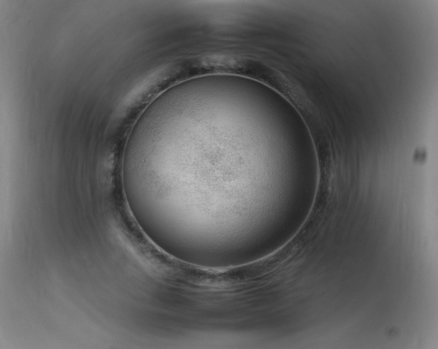 X0000113370735200909221222