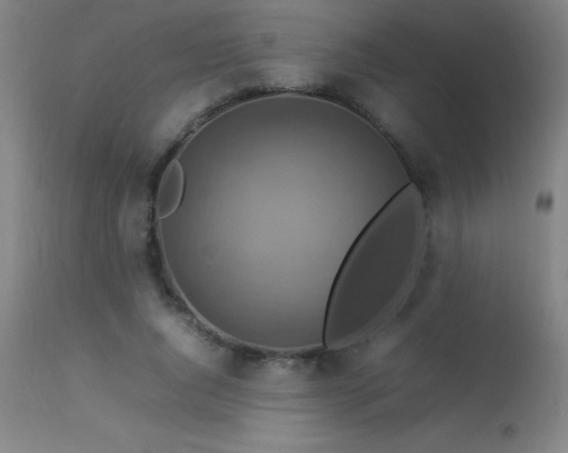 X0000113370736200909221222