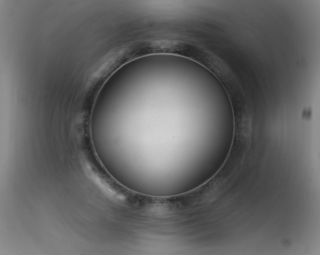 X0000113370738200909221222