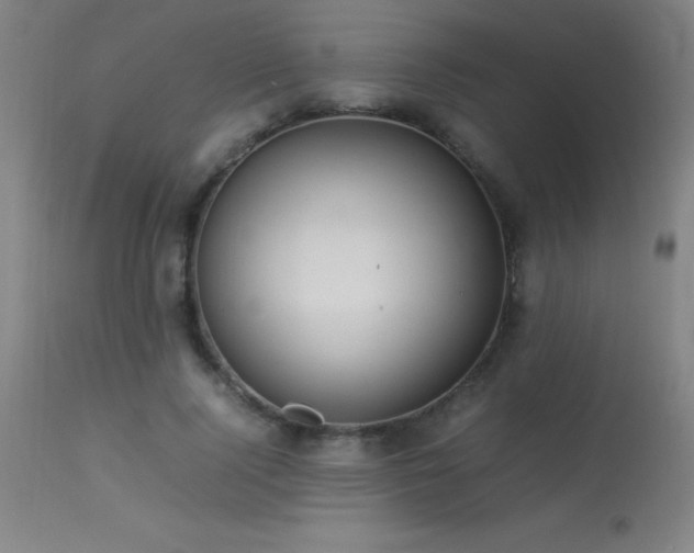 X0000113370740200909221223