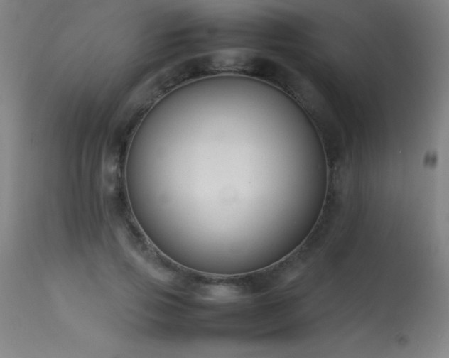 X0000113370741200909221223