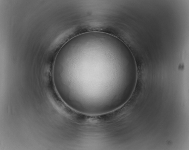 X0000113370742200909221223