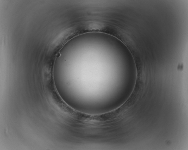 X0000113370743200909221223