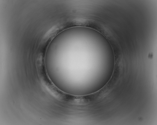 X0000113370744200909221223