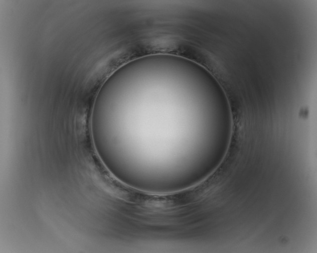 X0000113370745200909221223