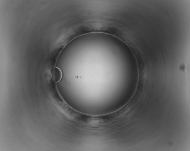 X0000113370746200909221223