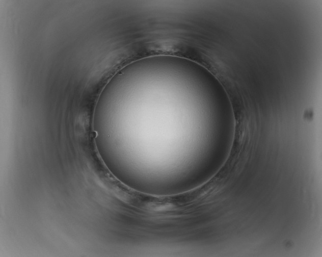 X0000113370747200909221223