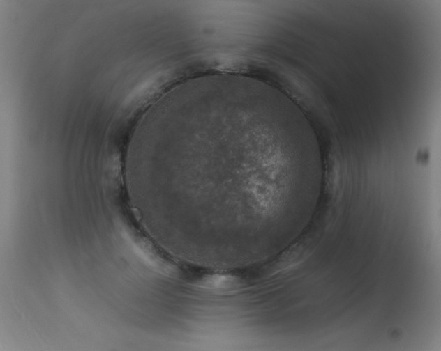 X0000113370748200909221223