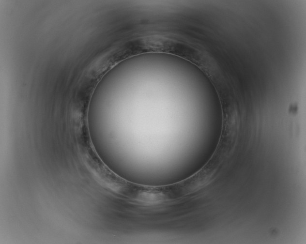 X0000113370749200909221223