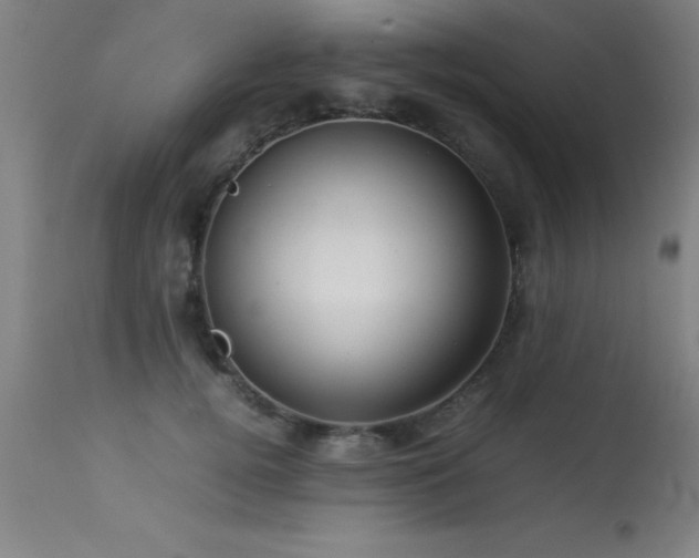 X0000113370752200909221223