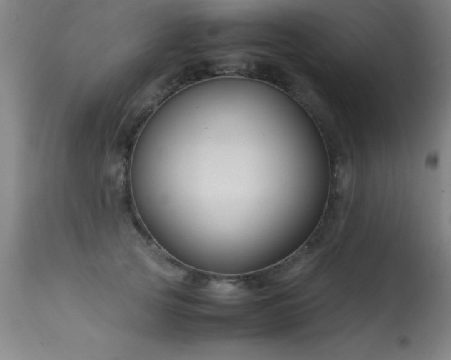 X0000113370753200909221223