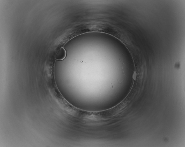 X0000113370755200909221223