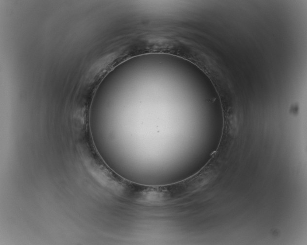 X0000113370756200909221223