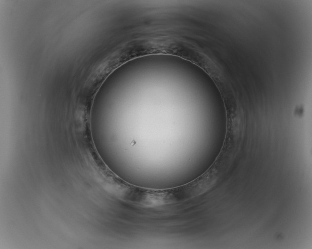 X0000113370757200909221223