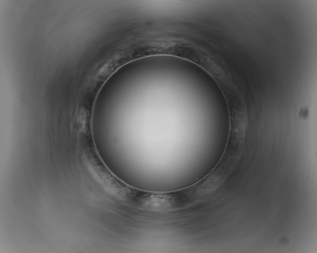 X0000113370758200909221223
