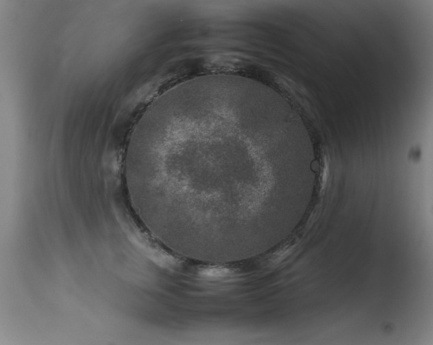 X0000113370759200909221223