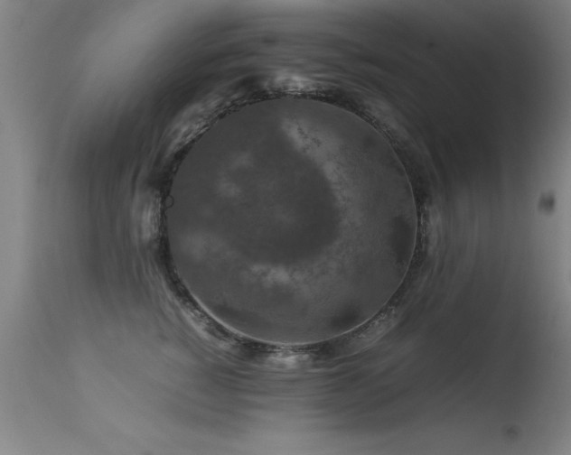 X0000113370760200909221223