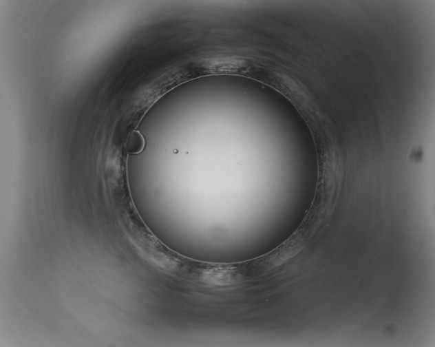 X0000113370761200909221223