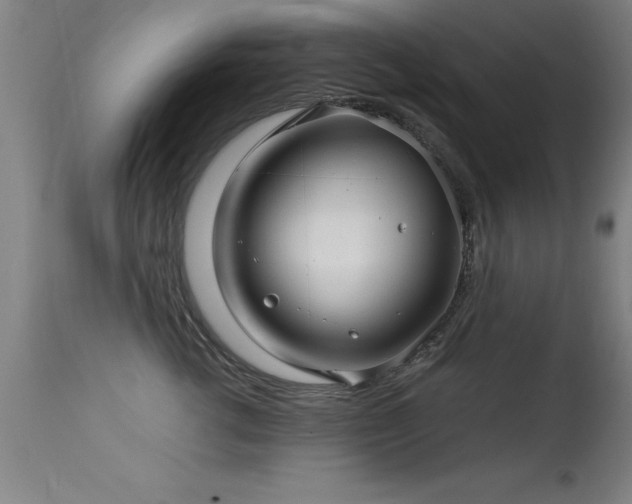 X0000113370762200909221223