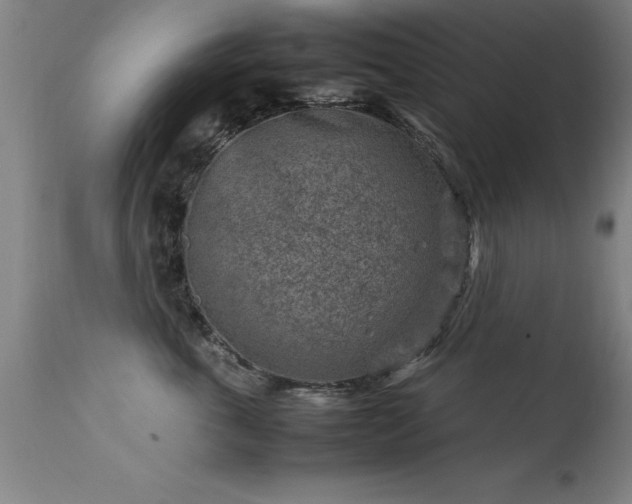 X0000113370763200909221223