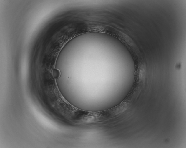 X0000113370764200909221223