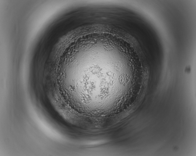 X0000113370765200909221223