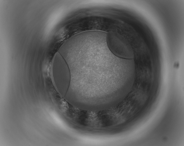 X0000113370766200909221223