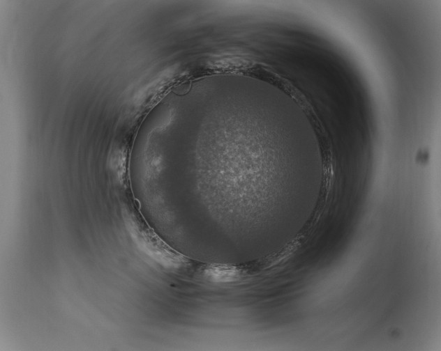 X0000113370767200909221223