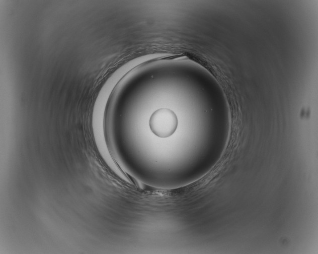 X0000113370768200909221223