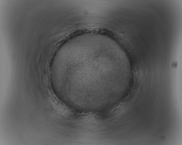 X0000113370769200909221222
