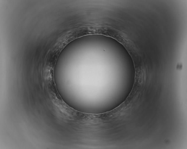 X0000113370770200909221222