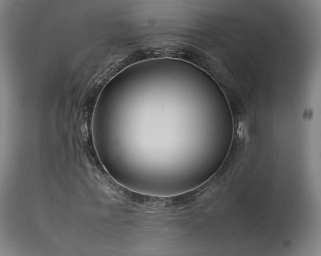 X0000113370771200909221222