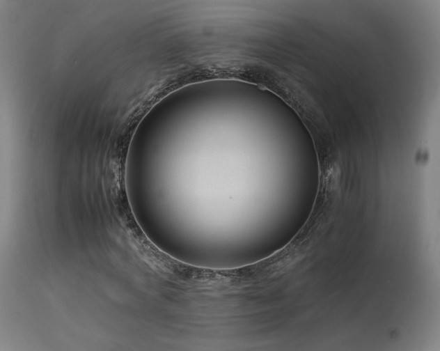 X0000113370772200909221222