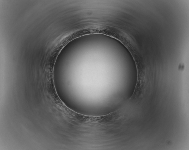 X0000113370773200909221222