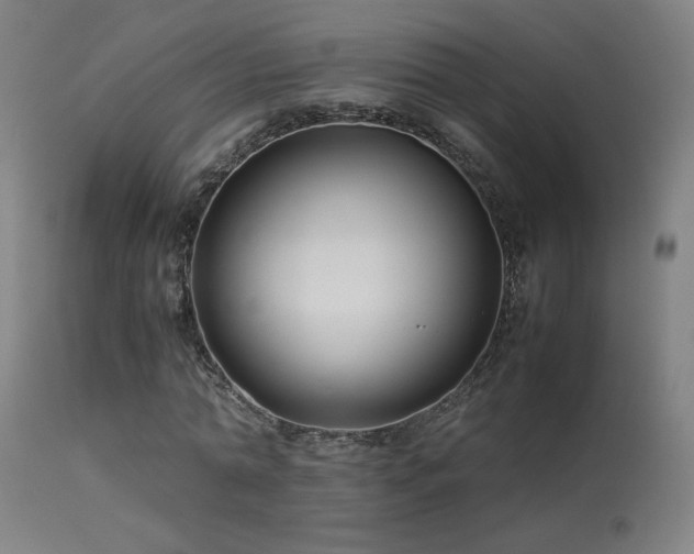 X0000113370774200909221222