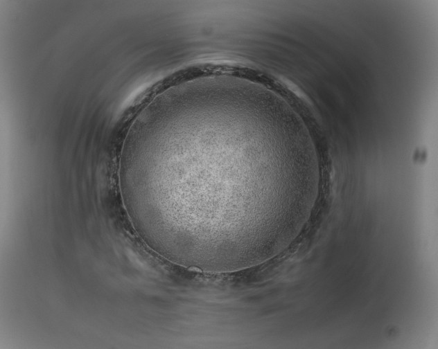 X0000113370775200909221222
