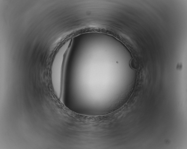 X0000113370776200909221222
