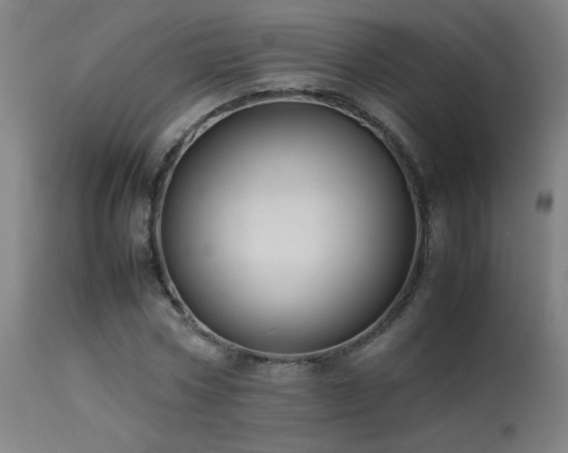 X0000113370778200909221222