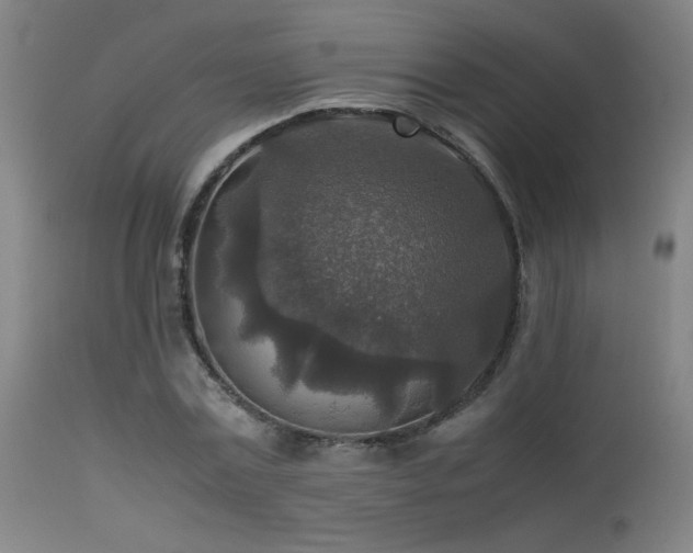 X0000113370779200909221222