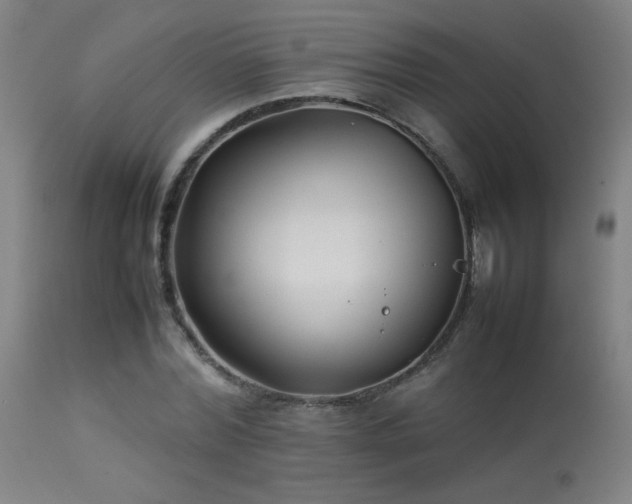 X0000113370780200909221222