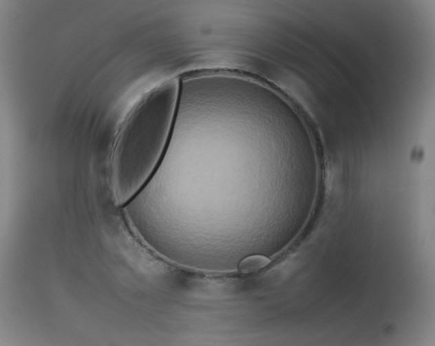 X0000113370781200909221222