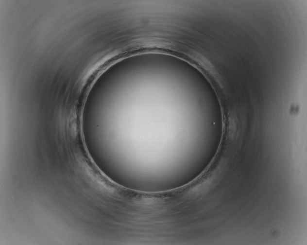 X0000113370782200909221222