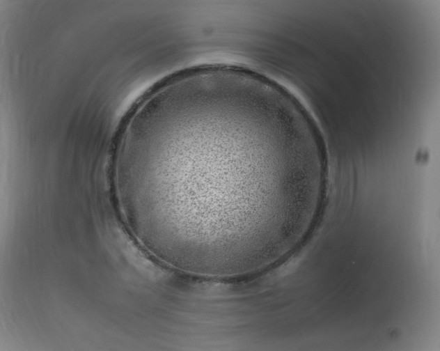 X0000113370783200909221222