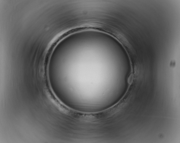 X0000113370784200909221222