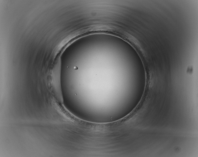 X0000113370786200909221222