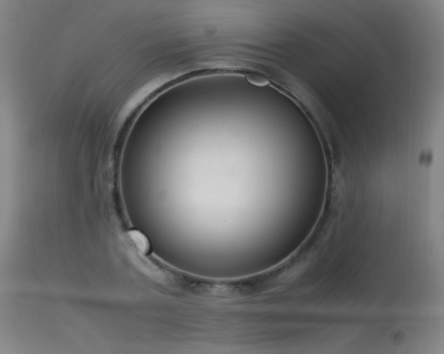 X0000113370787200909221222