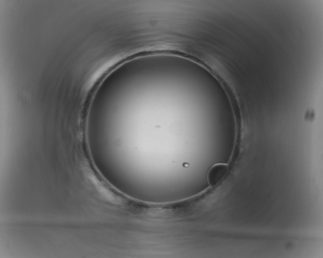X0000113370789200909221222