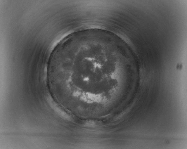 X0000113370790200909221222