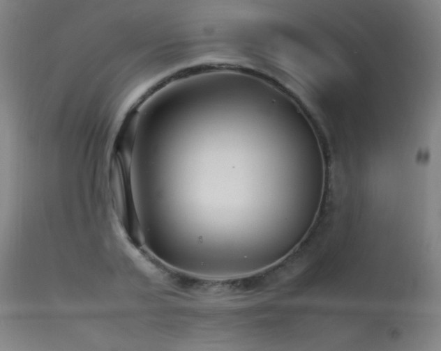 X0000113370791200909221222