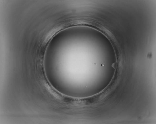 X0000113370793200909221222